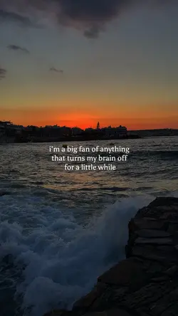 Big Fan 📣