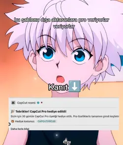 dışa aktarana pro ve