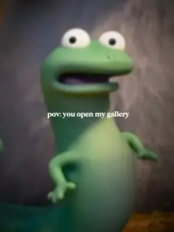pov gallery