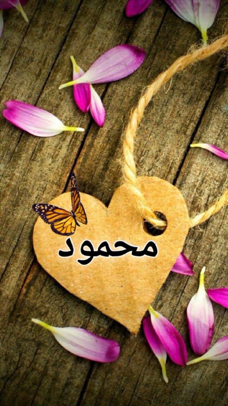 تصاميم متنوعة.