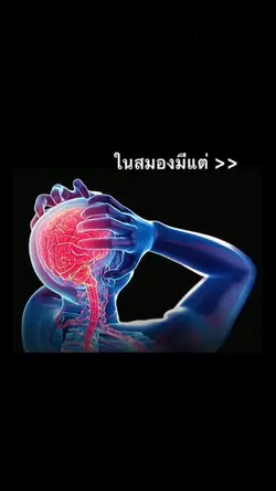 ในสมองตอนนี้