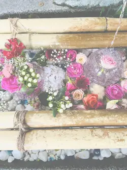 神社参拝⛩️ 和風音源