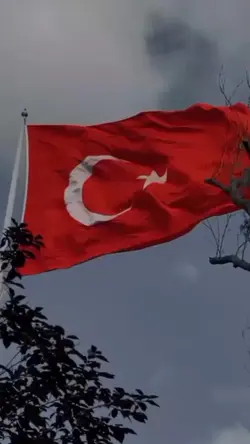 Bayrak