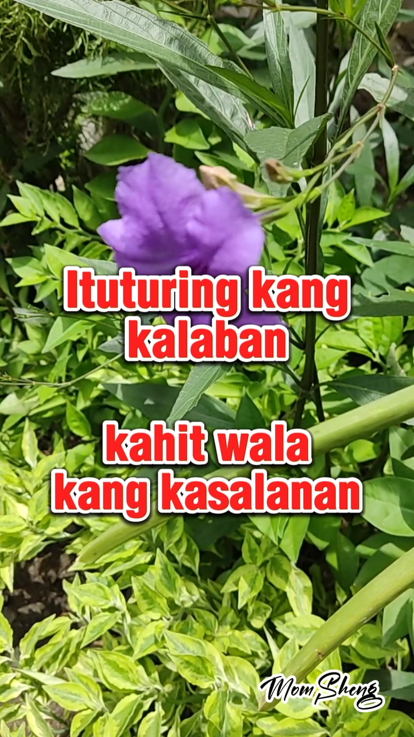 Kalaban