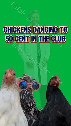 CHICKENS IN DA CLUB
