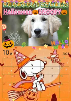 10月もよろしくお願いします④