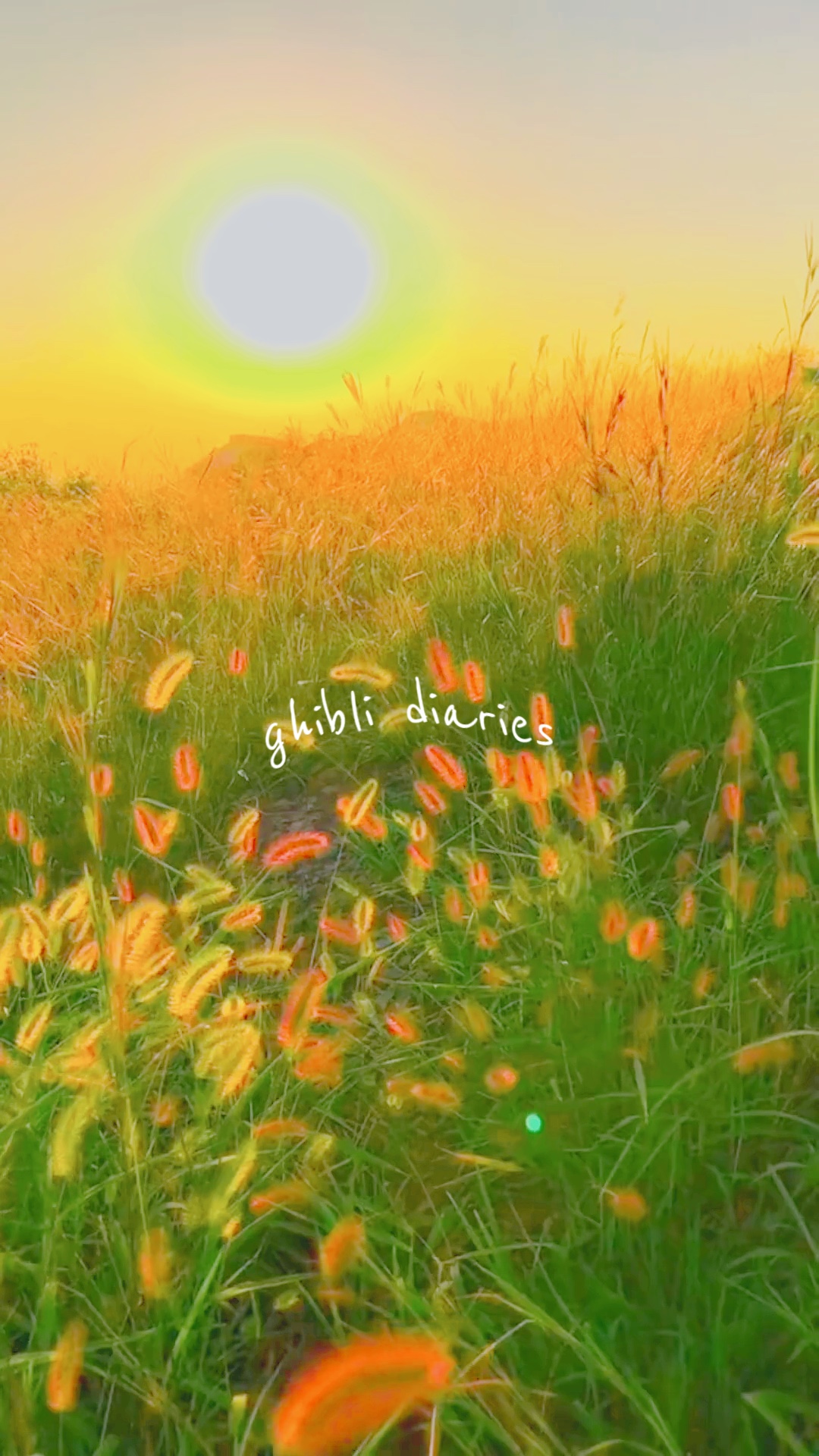 Diarios de Ghibli 🍂