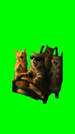 Cats Sing In The Car