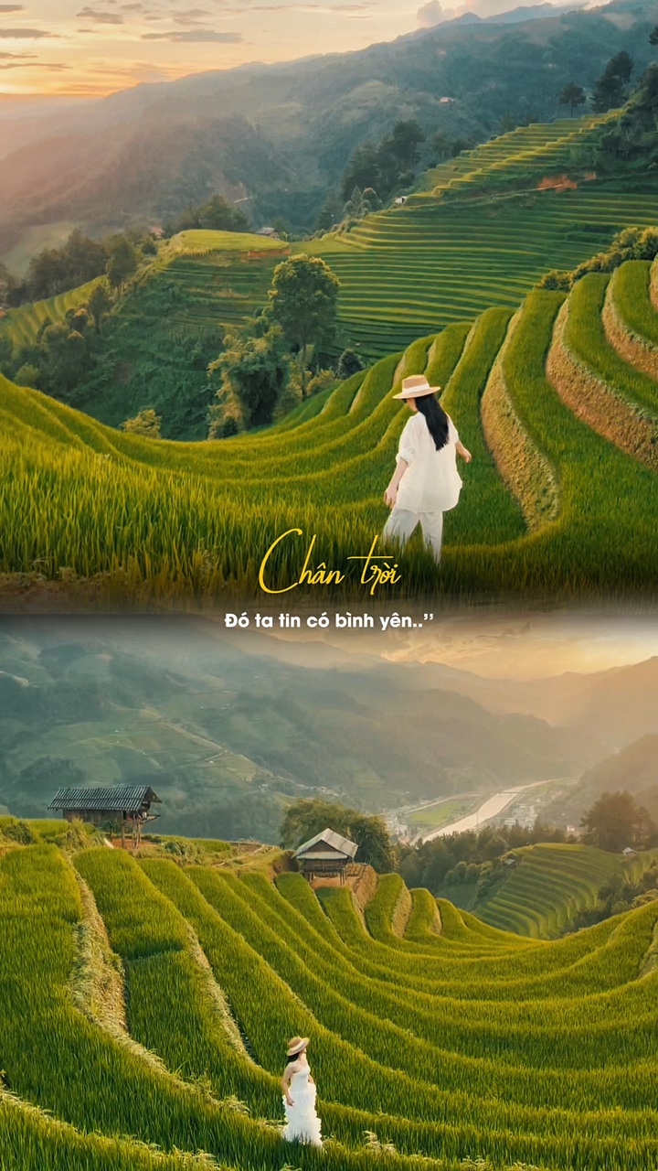 Chân tr tr tt …