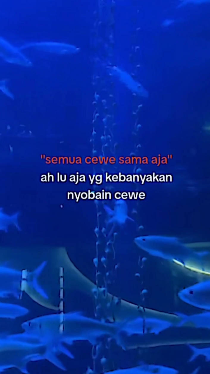 SEMUA CEWE SAMA AJA