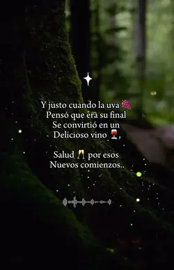 Frases