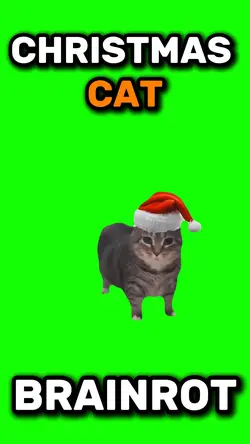 Christmas Cat 