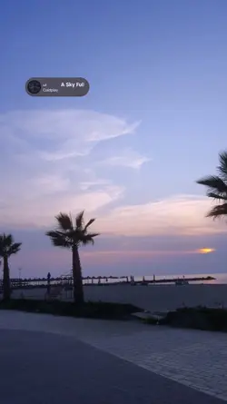 a sky a full of star