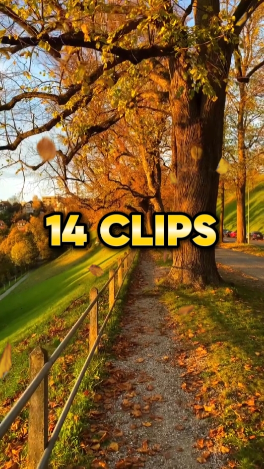 Sonbahar Yaprakları 2025