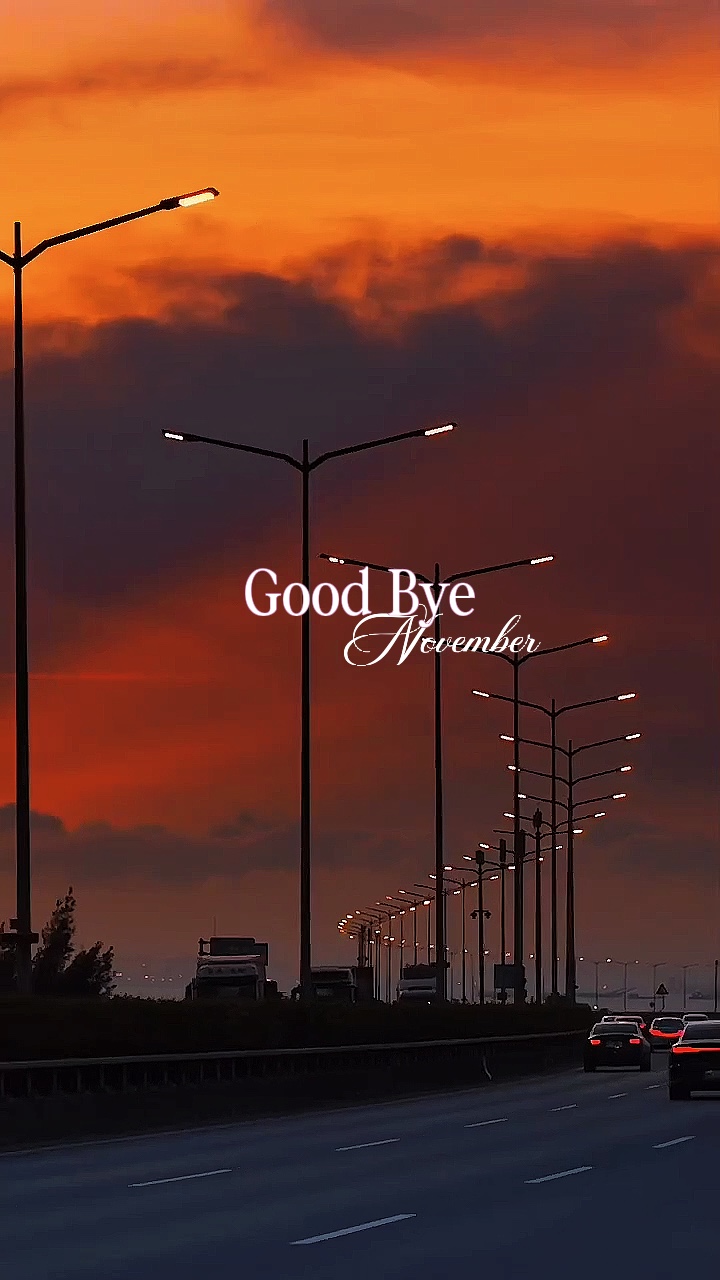 Adiós Noviembre