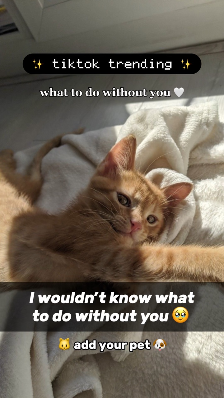 I wouldn’t know🥹