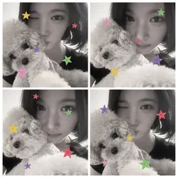 4 ช่อง 🌟