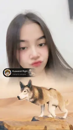 Gift Tiktok serigala