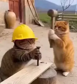 hahaha ngakak abis