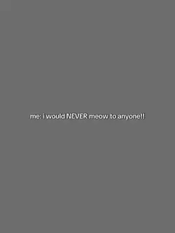 Inevermeowtoanyone