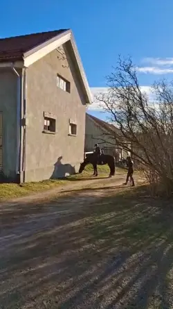Maailman rakkain