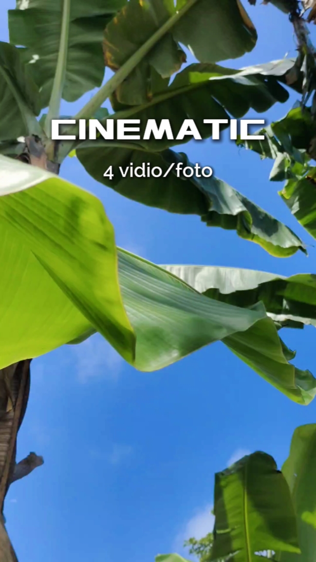 cinematic 4 vidio