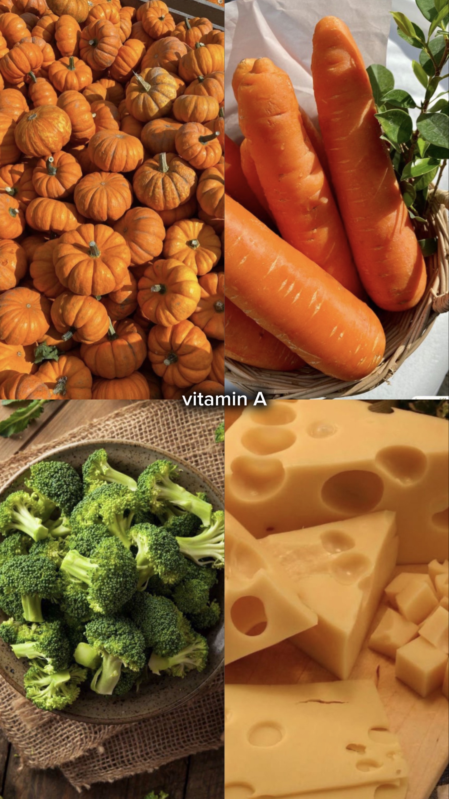 vitamin horses🤠🐴