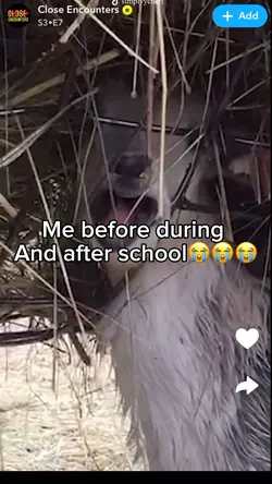 School😭😭😭😭😭