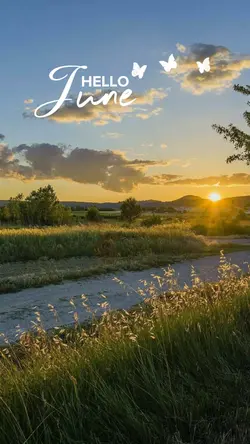 Hello June 🌼