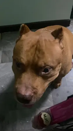 รักมากที่สุดในโลก