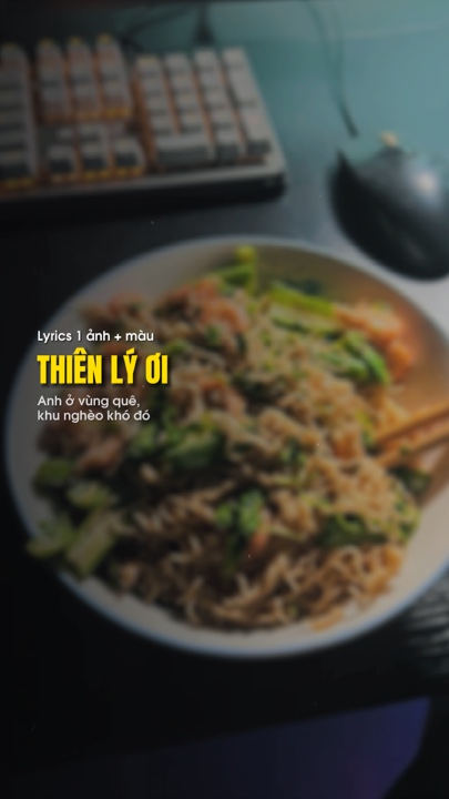 Thiên lý ơi lyrics
