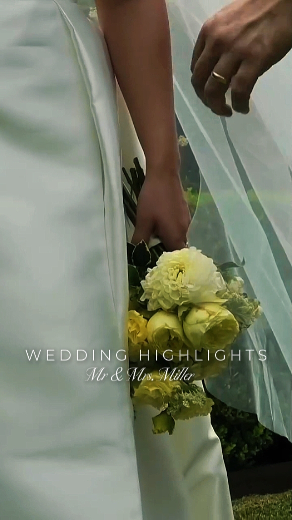 Wedding Highlights