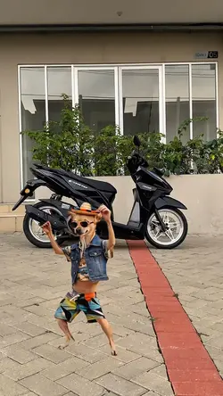 Anjing joget trend