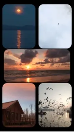 Multi-Format Picture