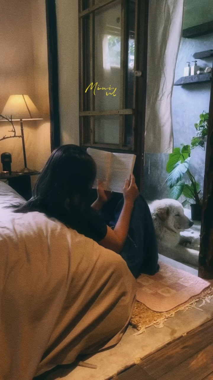25 video + màu🌿