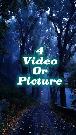 4 video or picture