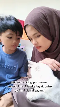 pecinta kucing 