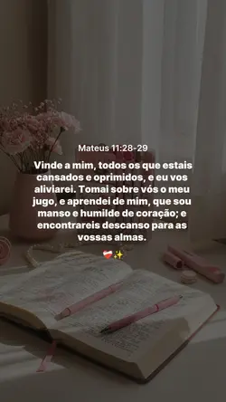 MATEUS 11:38-29
