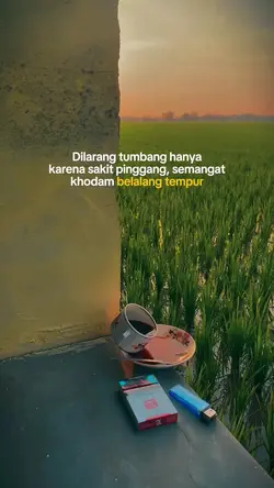 dilarang tumbang