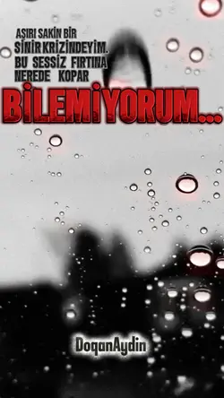 Yeni Şablon
