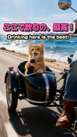 ここで飲むの、最高！