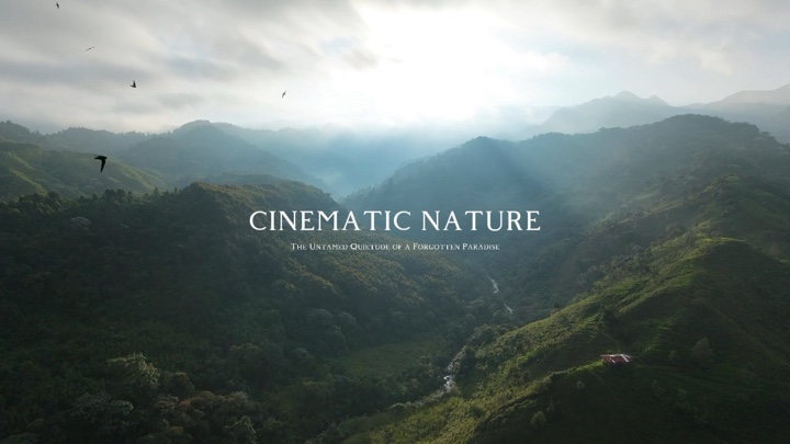 Cinematic Nature