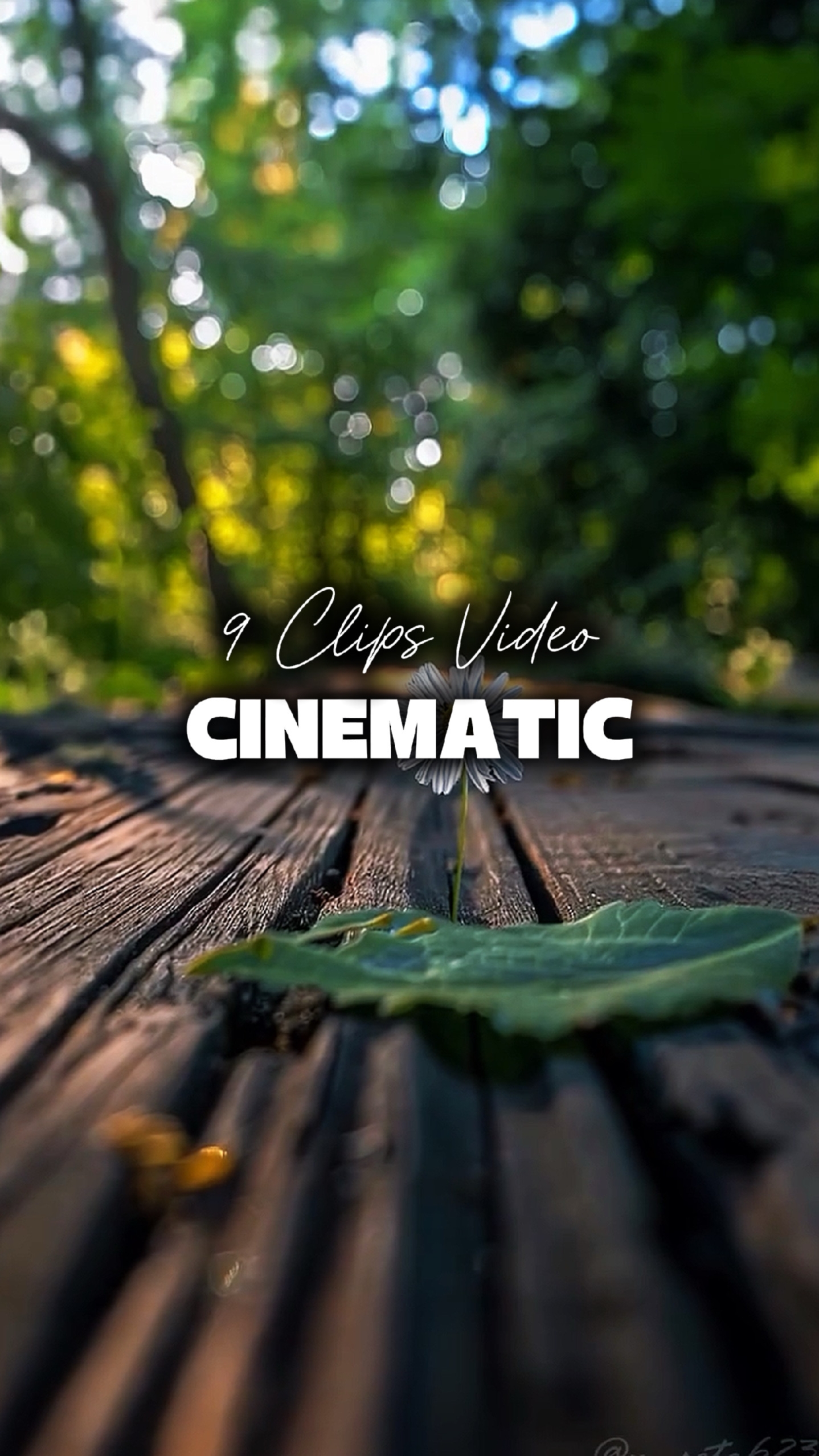 9 Clipes Cinematográficos 