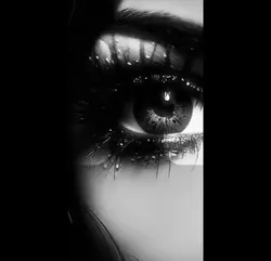 Sound of silence..