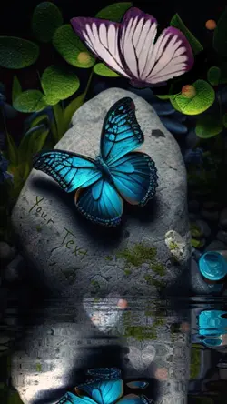 Butterfly