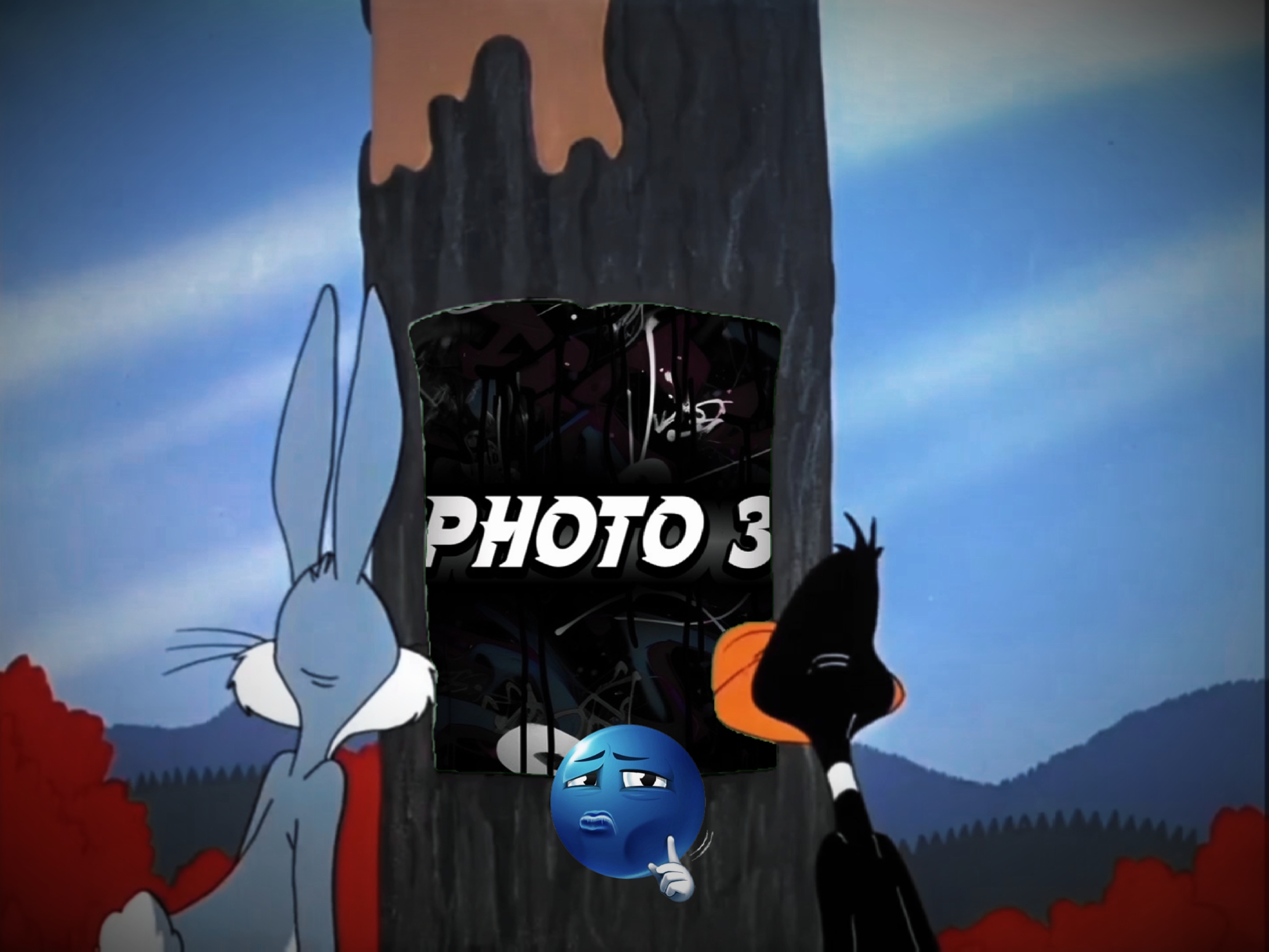 Cover Picture