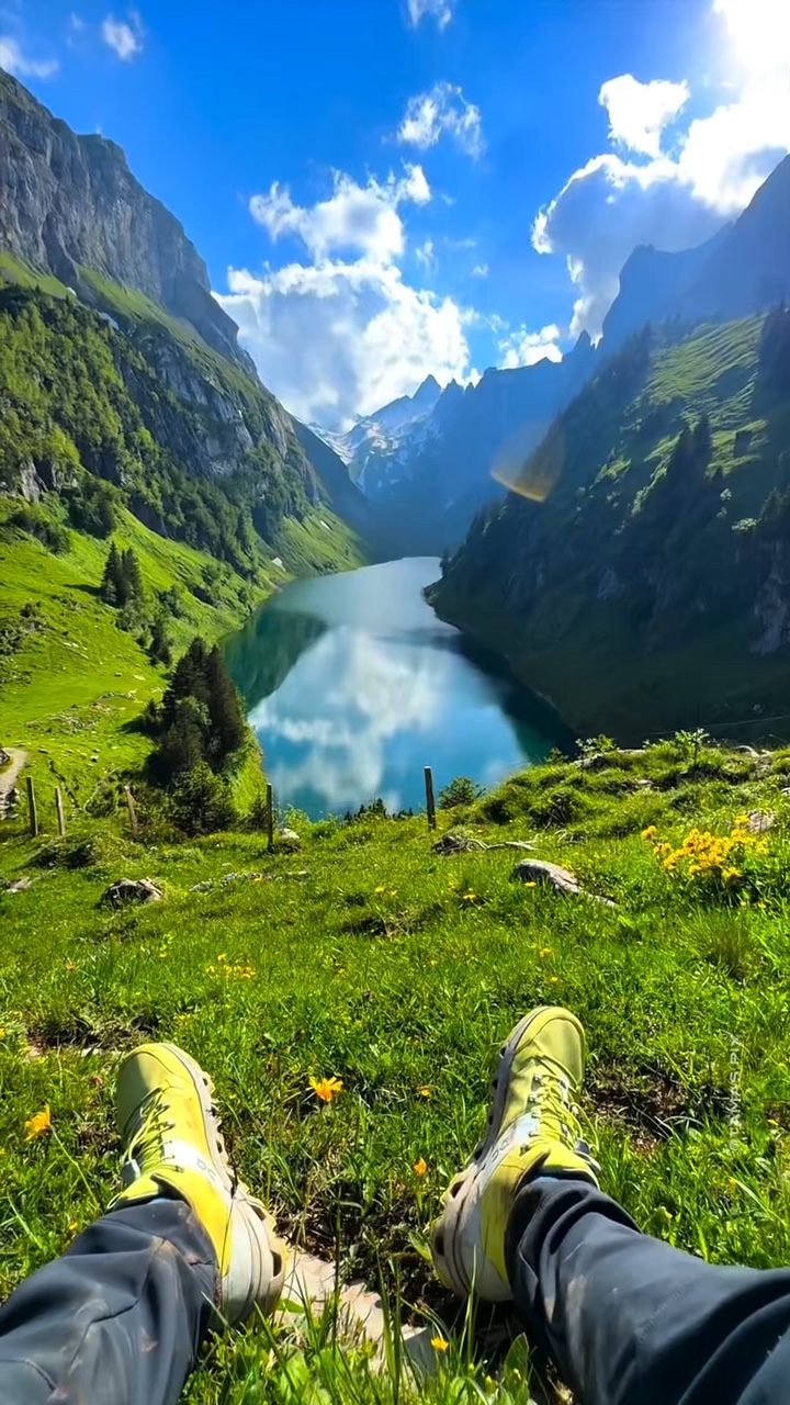 11 clips wild nature