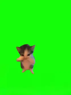Mentahan Kucing
