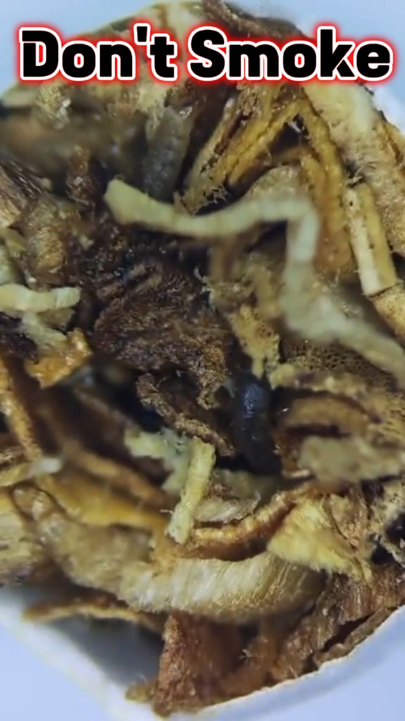 See What's In Cigs