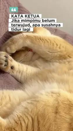KATA KETUA